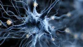 Thumbnail image for course